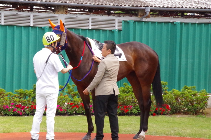 チョリータ 33戦目＠浦和競馬場 8R 2018.5.28_d0344707_21114596.jpg