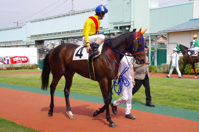 チョリータ 33戦目＠浦和競馬場 8R 2018.5.28_d0344707_21125170.jpg