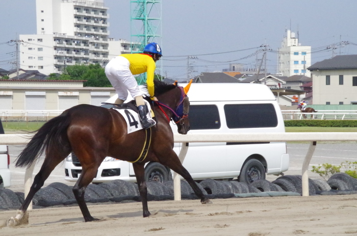 チョリータ 33戦目＠浦和競馬場 8R 2018.5.28_d0344707_21125660.jpg