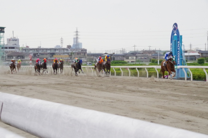 チョリータ 33戦目＠浦和競馬場 8R 2018.5.28_d0344707_21141465.jpg