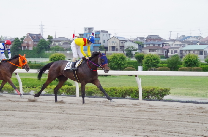 チョリータ 33戦目＠浦和競馬場 8R 2018.5.28_d0344707_21142580.jpg