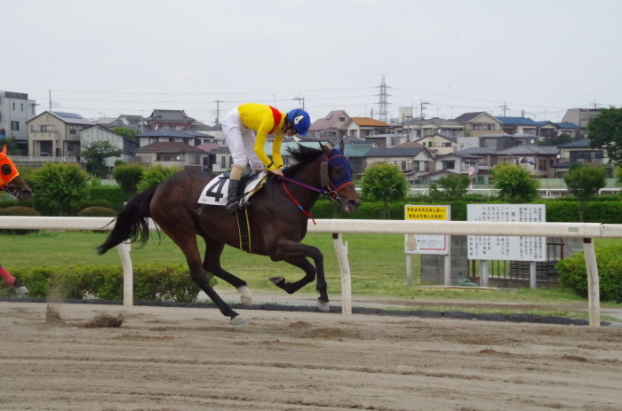 チョリータ 33戦目＠浦和競馬場 8R 2018.5.28_d0344707_21143149.jpg