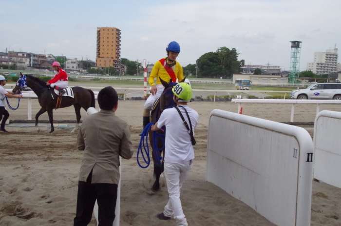 チョリータ 33戦目＠浦和競馬場 8R 2018.5.28_d0344707_21144934.jpg