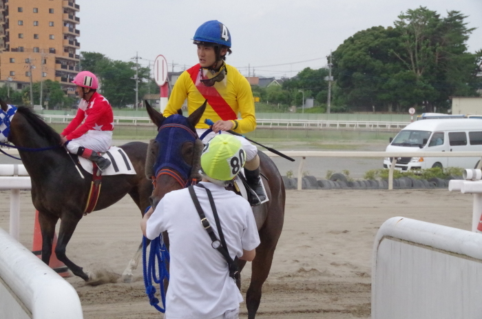 チョリータ 33戦目＠浦和競馬場 8R 2018.5.28_d0344707_21150531.jpg