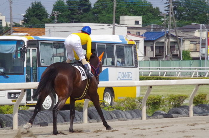 チョリータ 33戦目＠浦和競馬場 8R 2018.5.28_d0344707_21243209.jpg