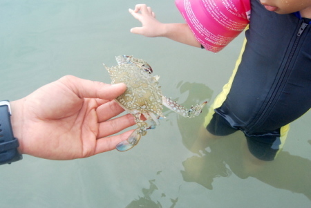 c0182810_00155522.jpg