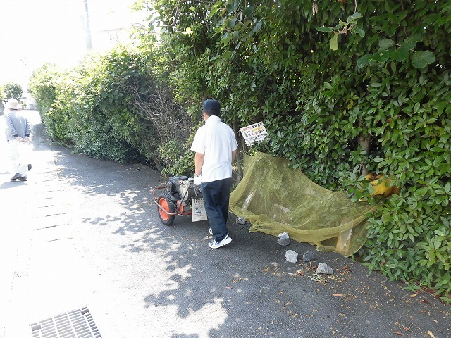 今朝は足腰が痛い! 今年もいい天気の下で駿河台三丁目の防疫作業_f0141310_06462159.jpg