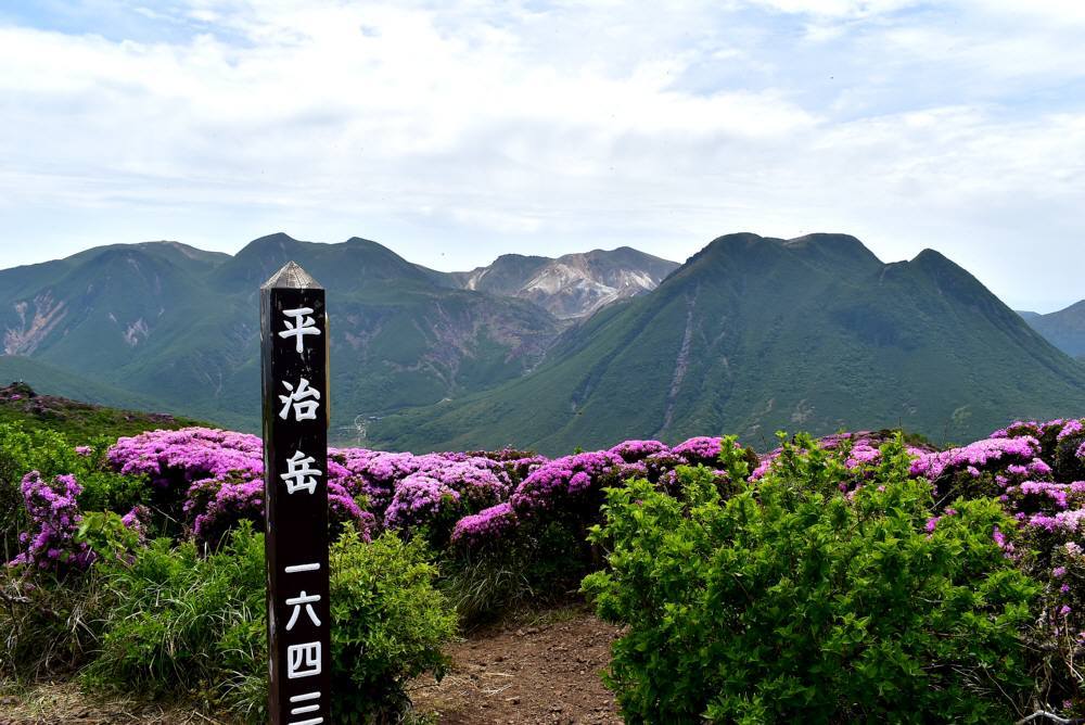 f0212511_23472301.jpg