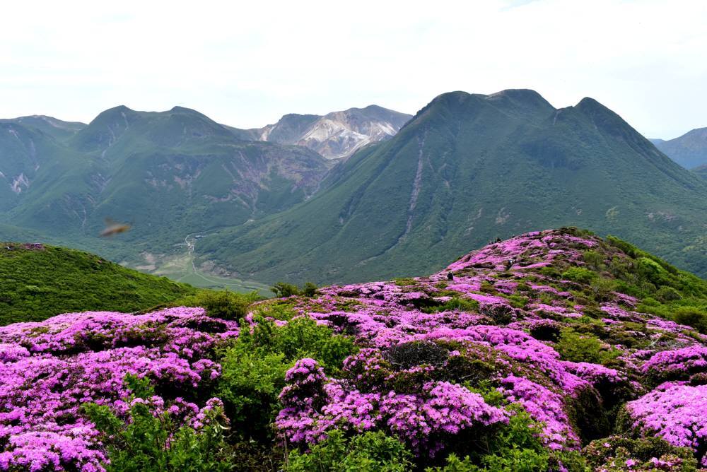 f0212511_23473690.jpg