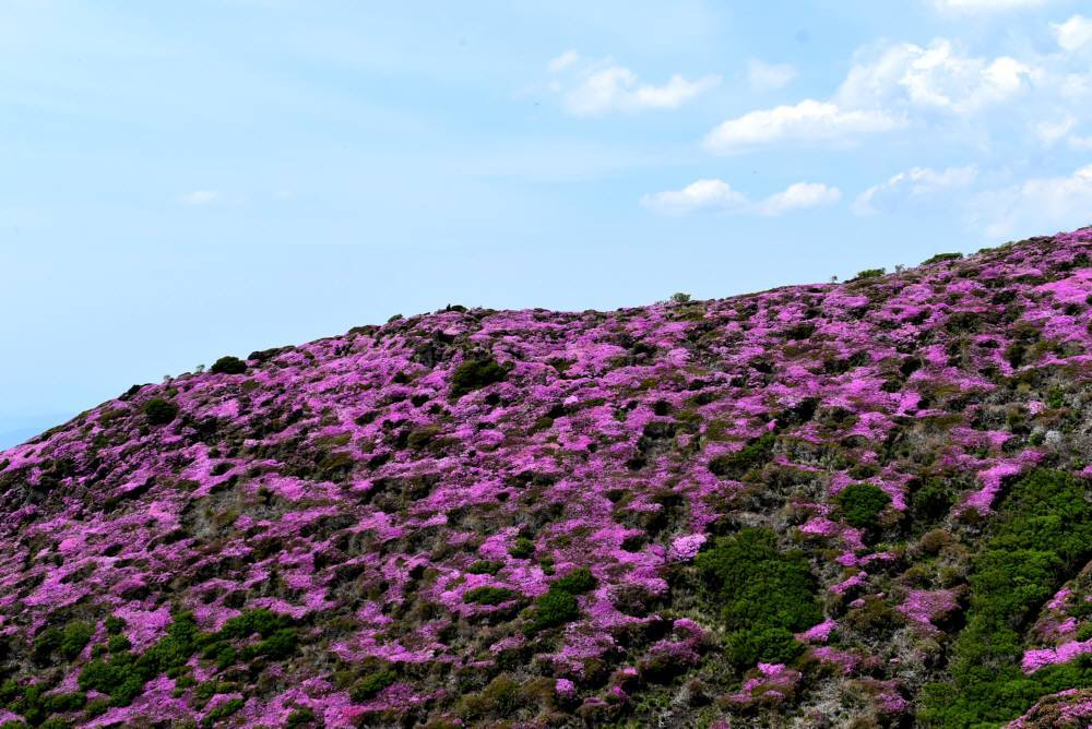 f0212511_23481521.jpg