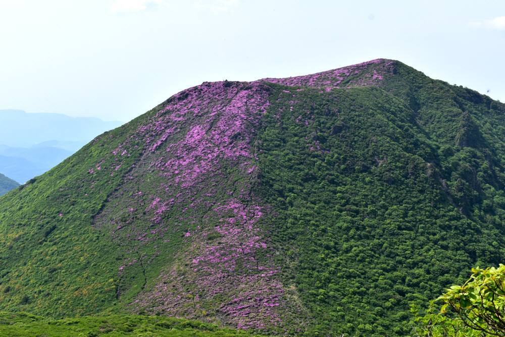 f0212511_23485861.jpg