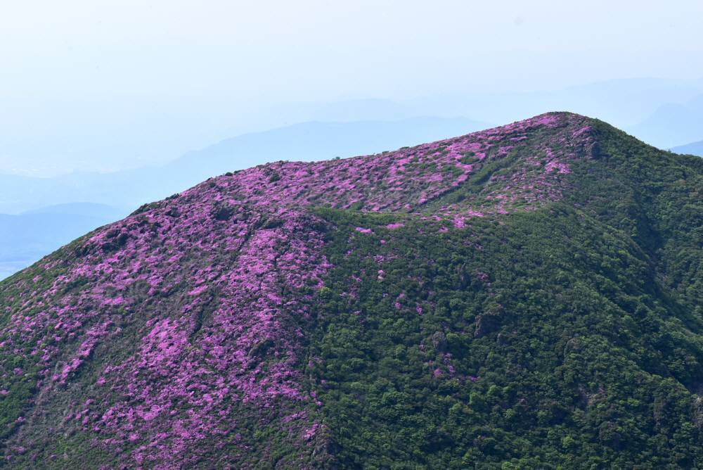f0212511_23491395.jpg