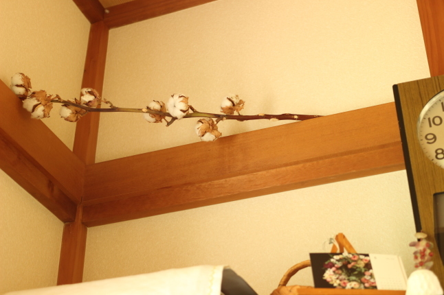 モノが出て行くとすぐに、モノが入って来ちゃうわが家(^-^;_f0354014_14450879.jpg