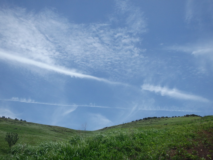 f0193521_164695.jpg