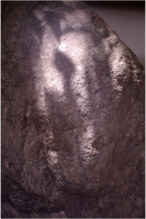 b0226423_22253277.jpg