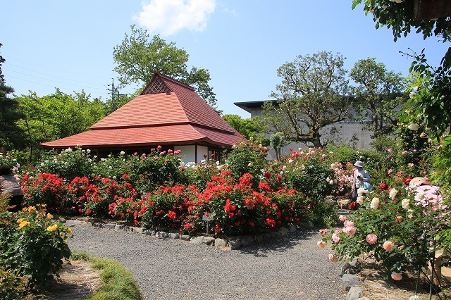 e0321325_13563360.jpg