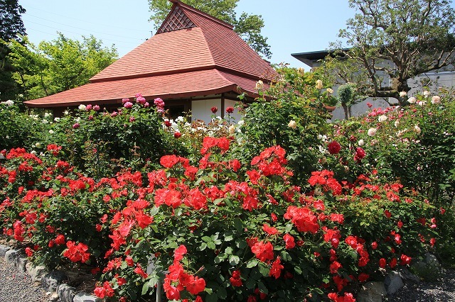 e0321325_13581876.jpg