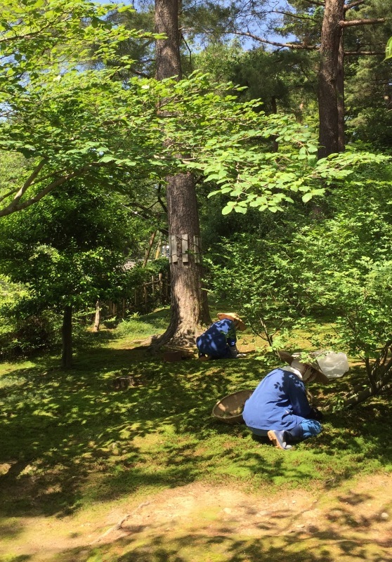 f0229926_01203596.jpeg