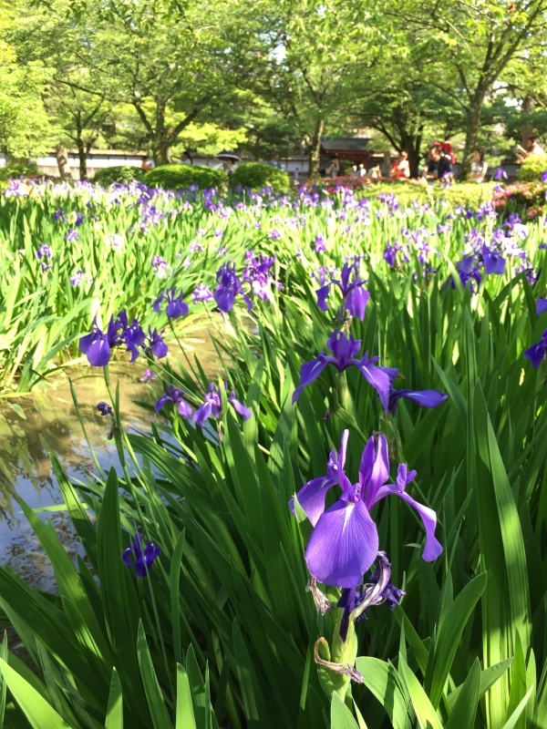 f0229926_01215215.jpeg