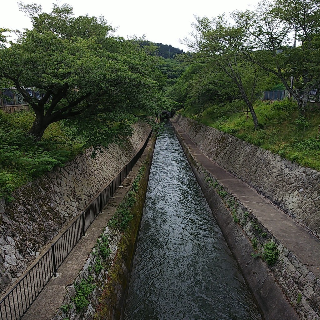 b0186130_10083669.jpg