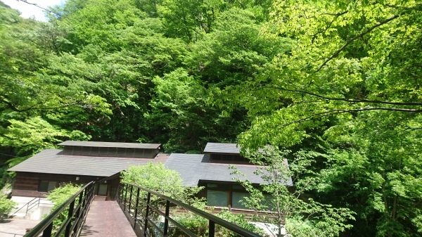 c0213830_14145467.jpg