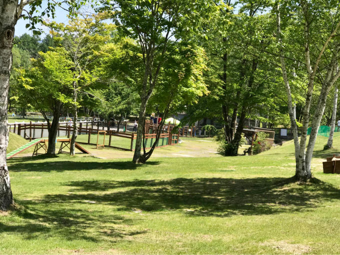 １８年５月２７日 八ヶ岳自然文化園 わんこのお庭 旅行犬 さくら 桃子 あんず 日記