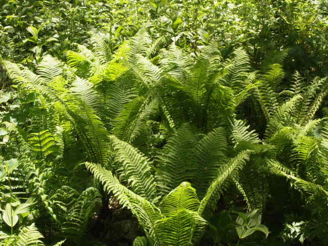 a0329935_04130467.jpeg