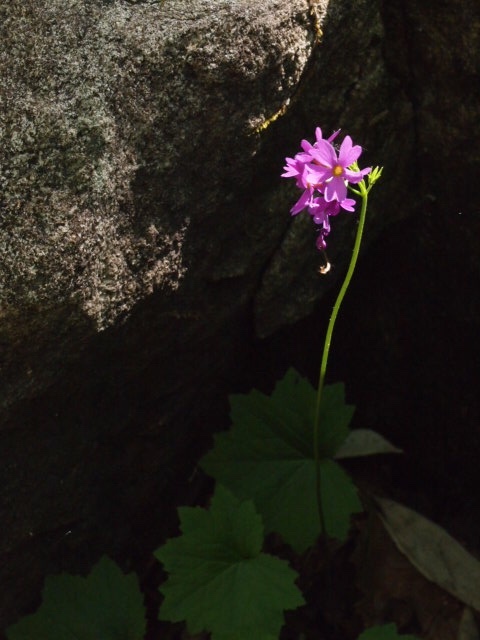 a0329935_04192469.jpeg