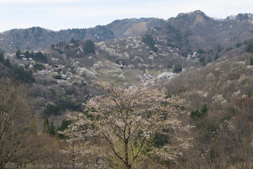 陸郷 桜仙峡 Photograph3 陸郷 桜仙峡 Photograph3