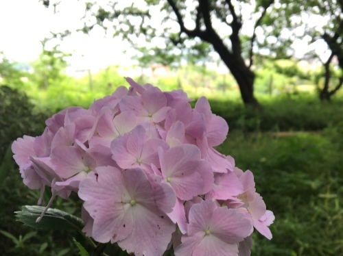 b0330040_21432376.jpeg
