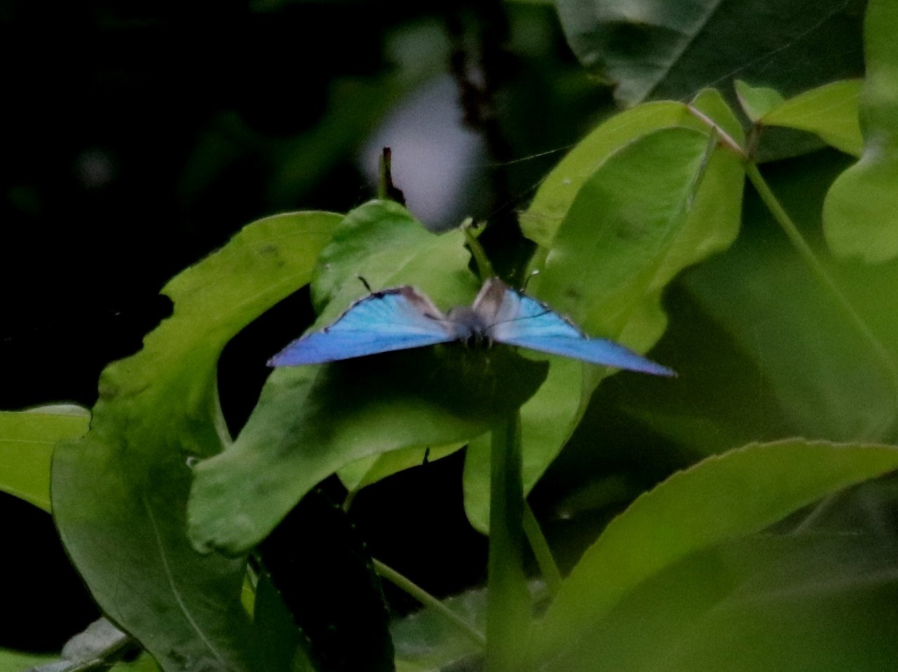 d0361041_07423263.jpg