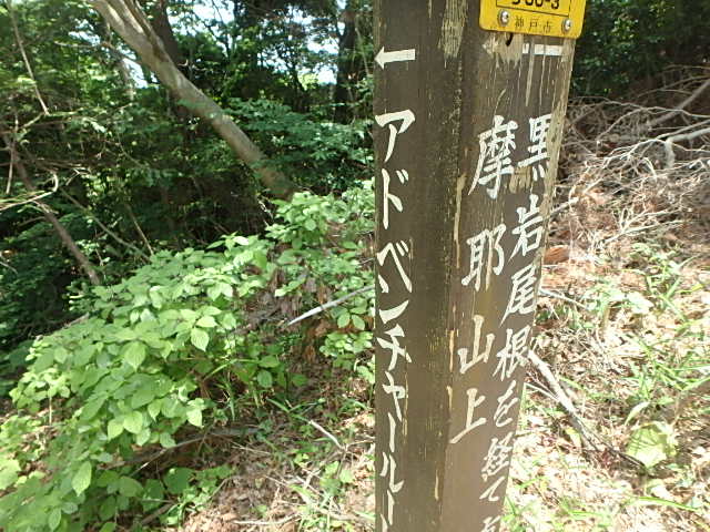 f0334143_8221034.jpg