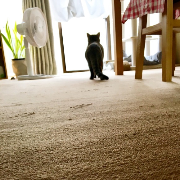 f0372445_16484011.jpeg