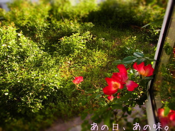 a0305046_09041623.jpg