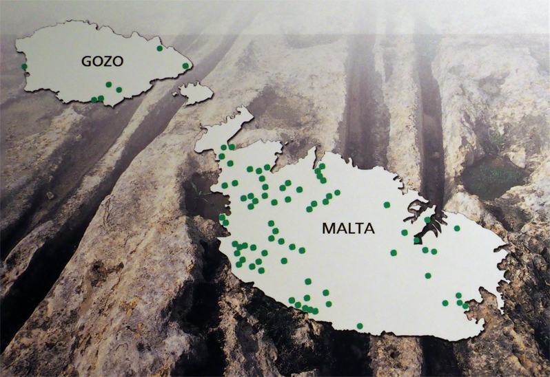 マルタ考古学博物館（その三）青銅器時代とカートラッツの謎 　～マルタの旅（５）_f0140054_09165639.jpg