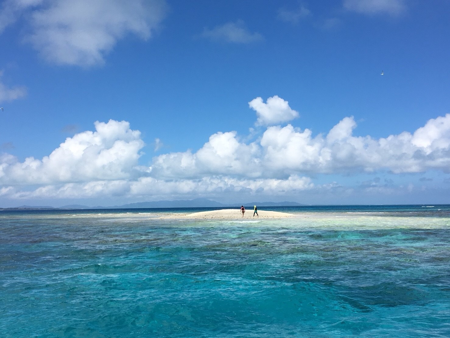 石垣島　海編　メガネのノハラ　イオン洛南　京都　子どもメガネ専門店　トゥインクルキッズ_f0338654_17064145.jpg