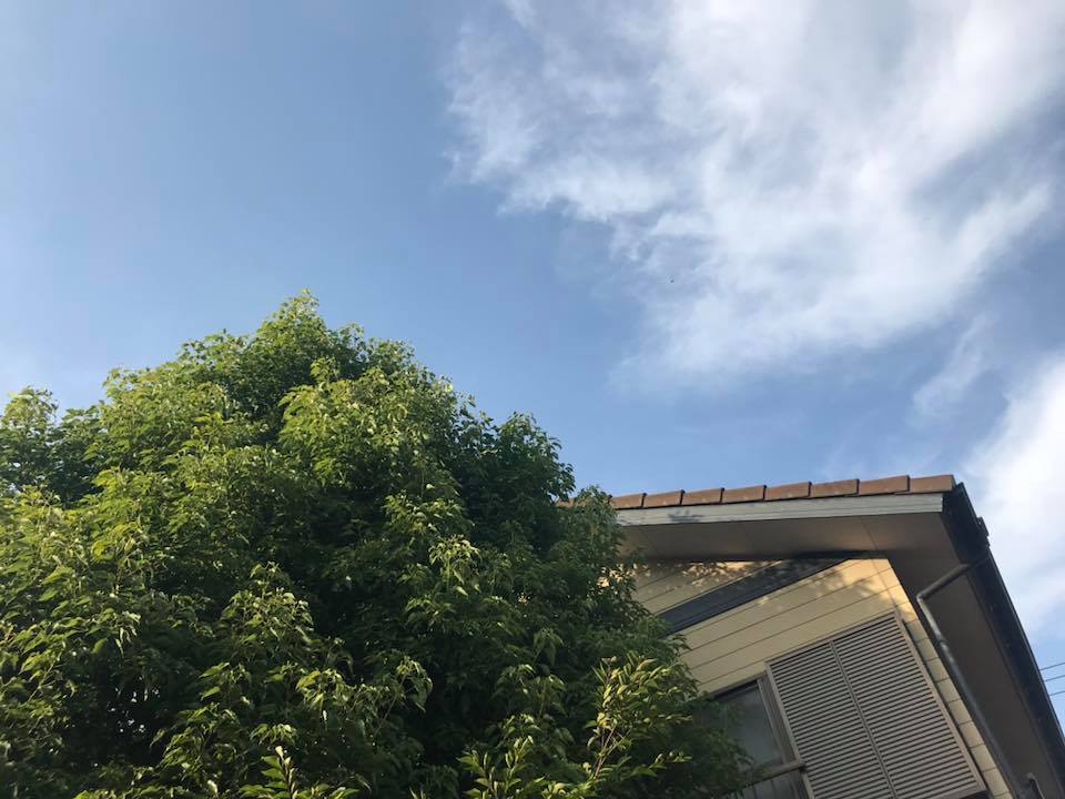 c0115560_17070986.jpg