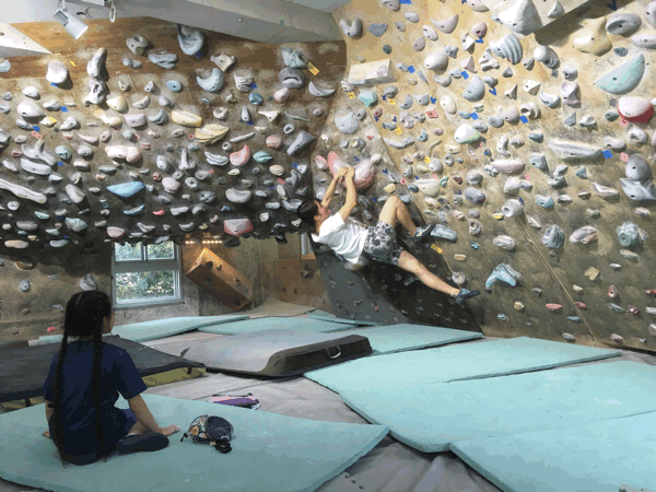 b0047265_06375562.gif