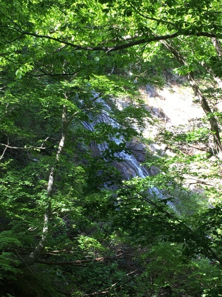 d0094868_08355553.jpeg