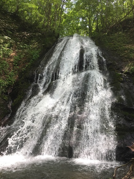 源頭放流×大日川遡行×ついでに大日山登山_d0094868_08393249.jpeg