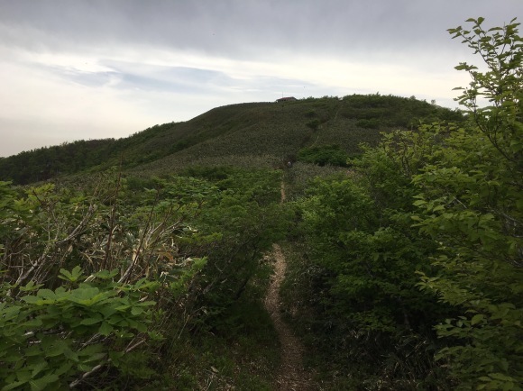d0094868_08441727.jpeg