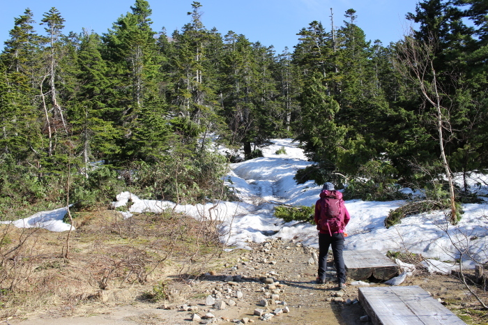 f0223068_12334546.jpg