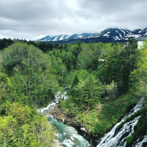 f0134670_22171829.jpeg
