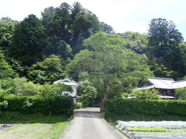 b0135573_06370153.jpg