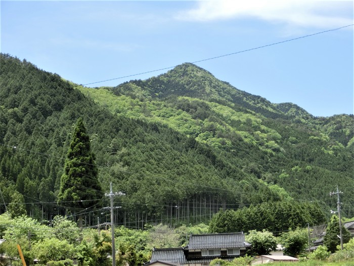 Ｎo485端正なトンガリ山・岡山の岡曽山に登る_b0185573_7162995.jpg