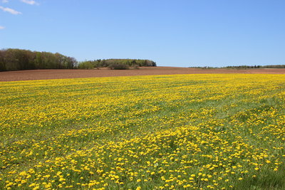 c0353373_20324469.jpg
