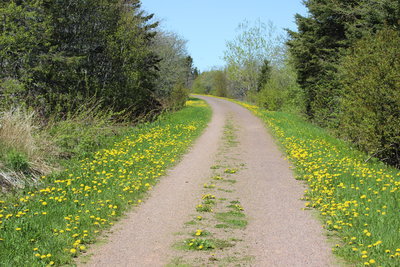 c0353373_20325111.jpg