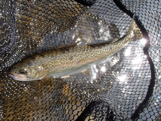 a0093677_00020427.jpg