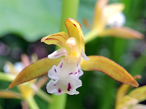 f0083977_13032772.jpg
