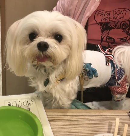 b0193480_13572026.jpeg